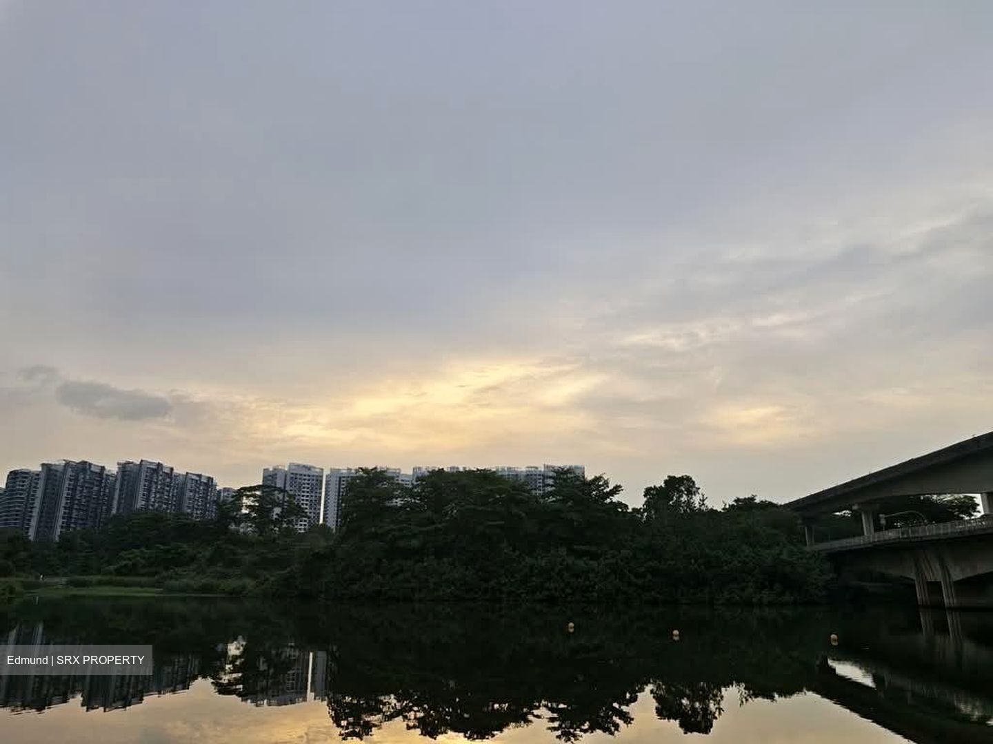 Rivercove Residences (D19), Condominium #558059801